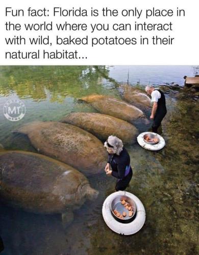 FB_IMG_1701097508339