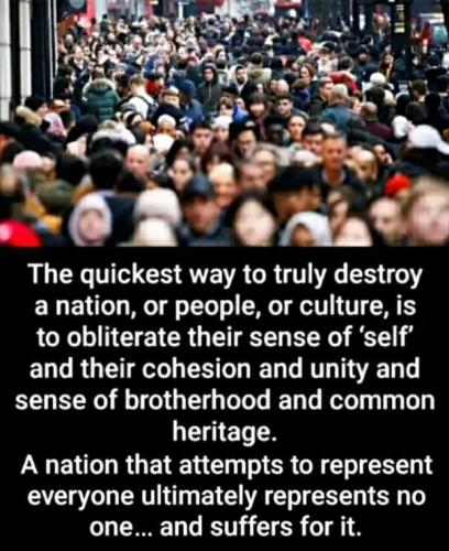 FB_IMG_1698931862867