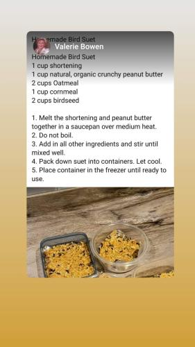 bird suet recipe
