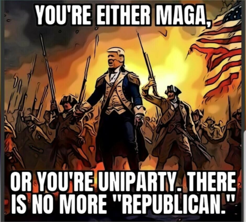 MAGA vs republican