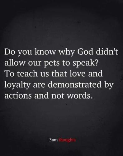 FB_IMG_1699832938555