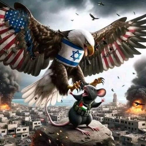 FB_IMG_1698876126626