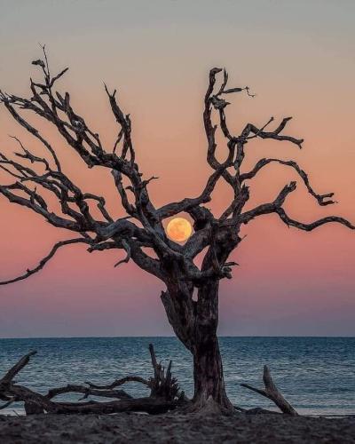 FB_IMG_1698864221076