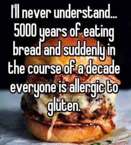 I will never understand