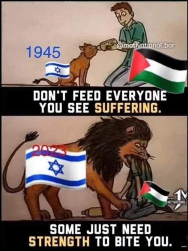 20231113_084407