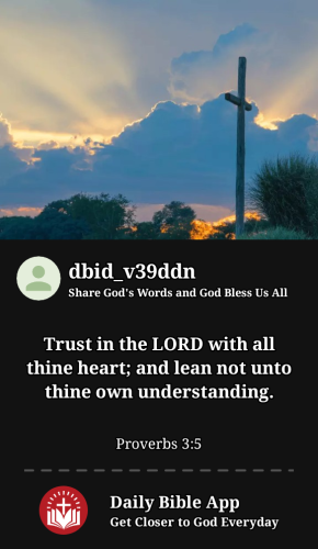 2023-11-181700359767780