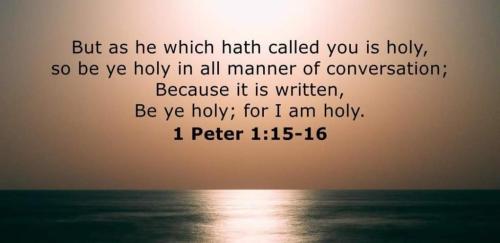 9835368a-8c65-4f7e-8142-153eff51fd67