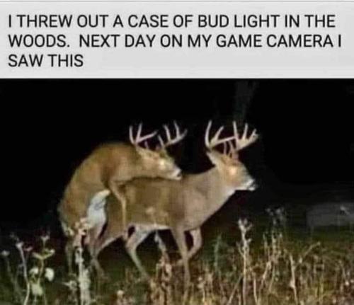 FB_IMG_1699026709260