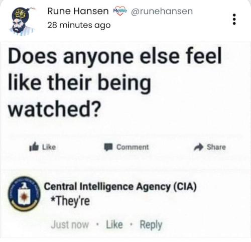 FB_IMG_1698844768294