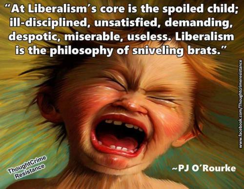 pj o rorke liberal spoiled sniveling brats FB_IMG_1487985239731