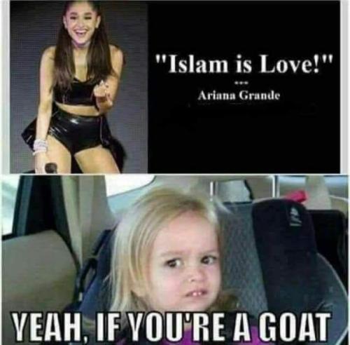 FB_IMG_1699994705775