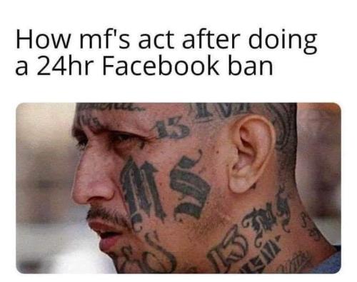 FB_IMG_1699292605017