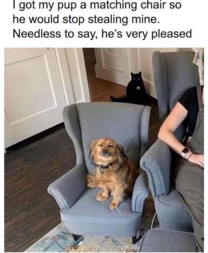 FB_IMG_1698706284659