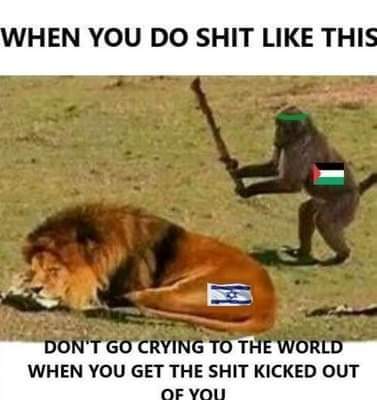 FB_IMG_1698821875188