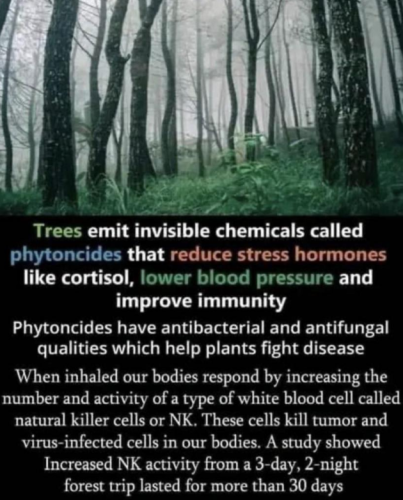 Screenshot_2023-09-17-17-01-37_kindlephoto-118324911