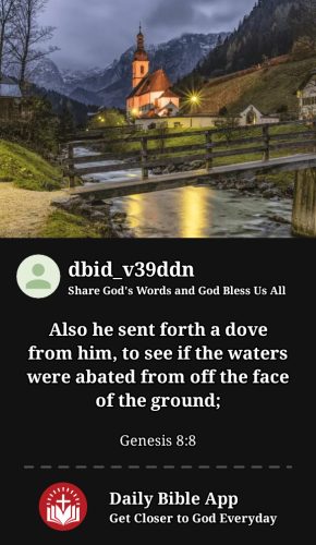 2023-11-221700687246028