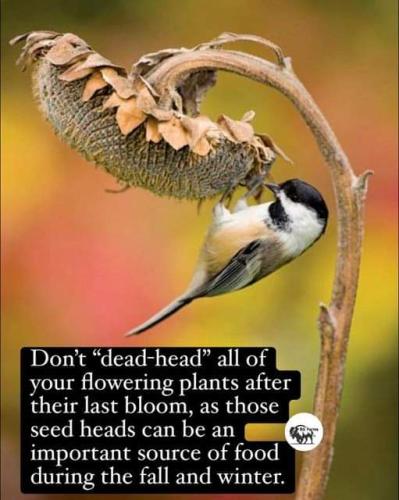 FB_IMG_1699171445378