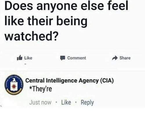 FB_IMG_1700508243105