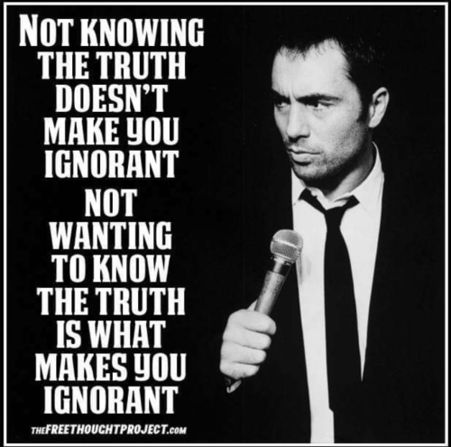 Screenshot_2023-11-09-00-00-16_kindlephoto-96761577