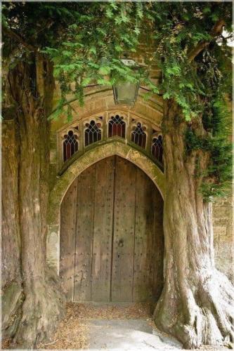 FB_IMG_1699291591337