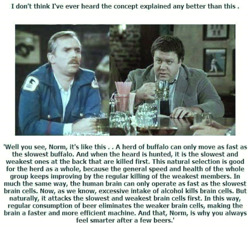 cliff and Norm-12