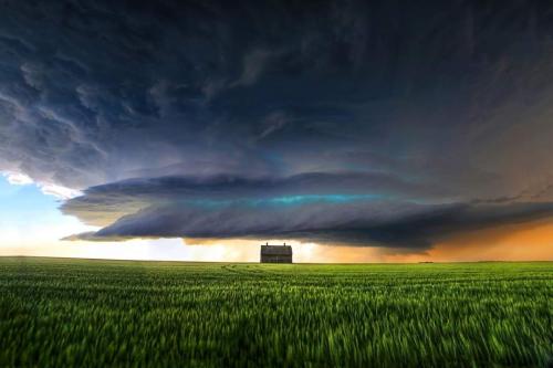 FB_IMG_1699029523012