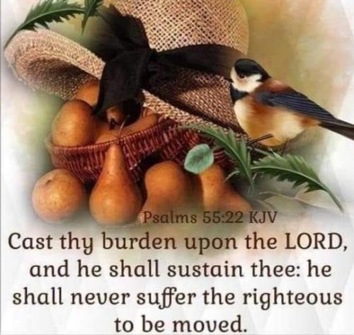 4b343790-491a-46b3-9981-ccfa25280d61