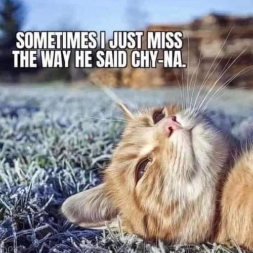 photo_2023-11-12_17-41-59