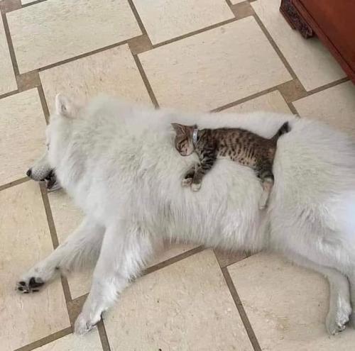 F5686B10-4CBD-467B-8BD5-C1D40A1B0F11