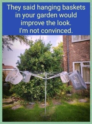 hanging baskets