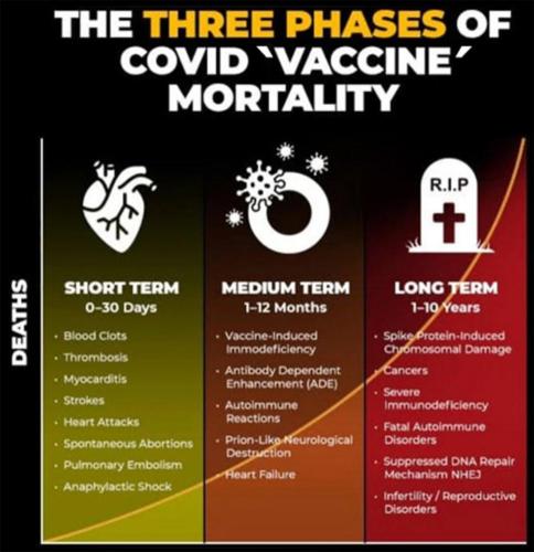 photo_2023-10-31_18-50-40