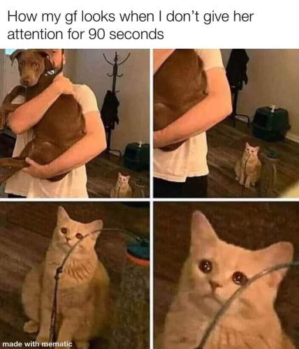 FB_IMG_1700318514771