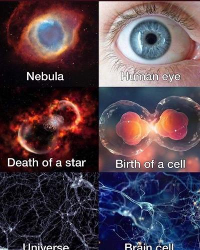 FB_IMG_1698796135252