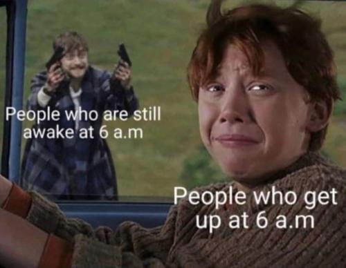 FB_IMG_1701265160146