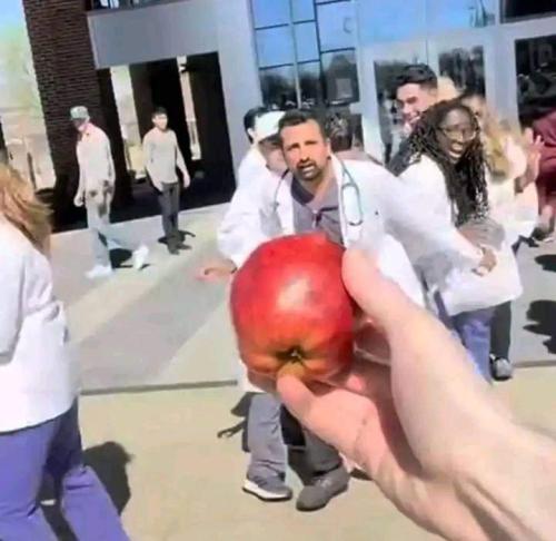 FB_IMG_1699018678873