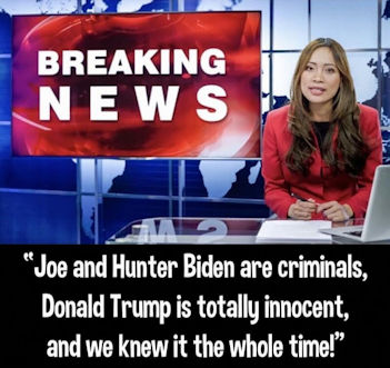 criminal activity149