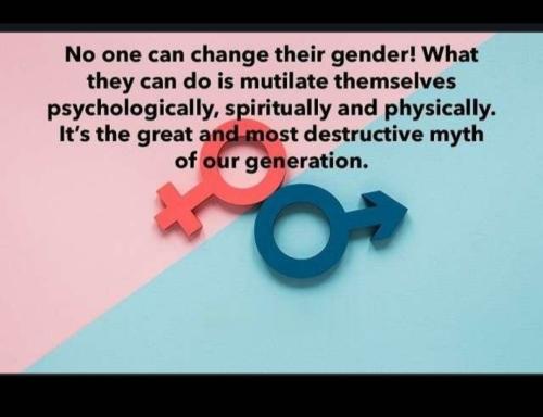 Screenshot_20231027_194109_Gallery