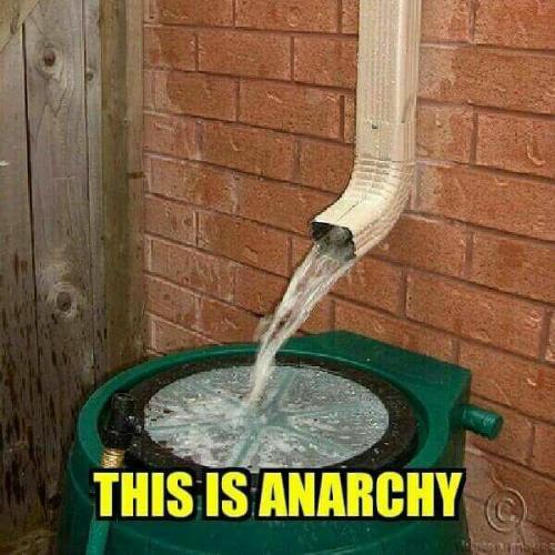 16711705_10155064505349533_8431993278419881309_n