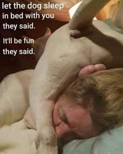 FB_IMG_1698938803935