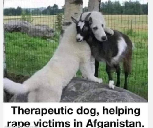 FB_IMG_1700932771226