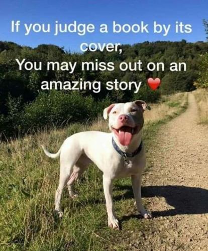 FB_IMG_1699037805217