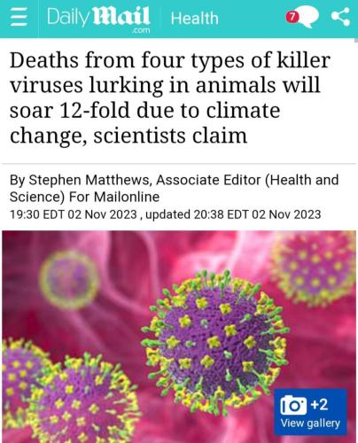 photo_2023-11-03_16-18-26