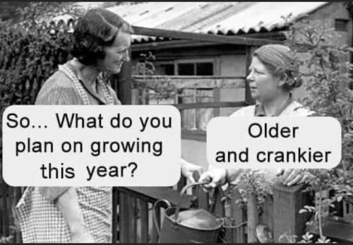 396542932_1785353751897724_2862633834611048738_n