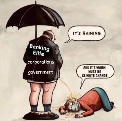 photo_2023-11-29_11-29-00