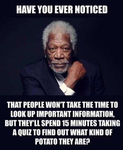 FB_IMG_1699862760294