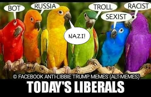 liberal arguments parrot bot russia nazi troll sexist racist