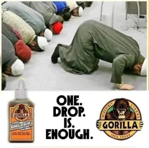 FB_IMG_1699478396240