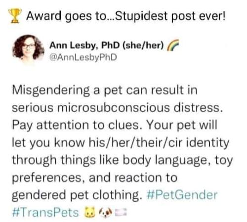 misgendering a pet