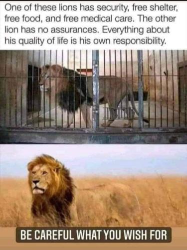 Screenshot_20231101_054725_Facebook