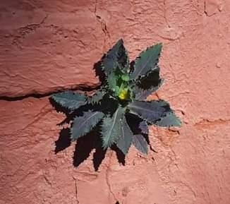 5eb626d7-624d-45bc-af4a-cdab17a2f867